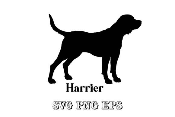 Harrier Dog Silhouette Breed Vector