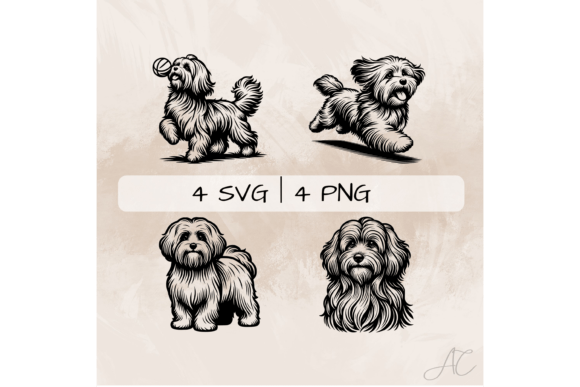 Havanese SVG Bundle