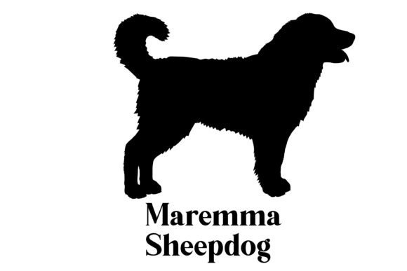Maremma Sheepdog Silhouette