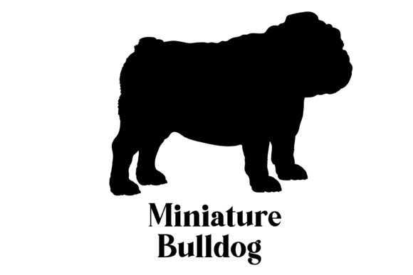 Miniature Bulldog Dog Silhouette Breeds