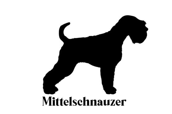 Mittelschnauzer Dog Silhouette Breeds