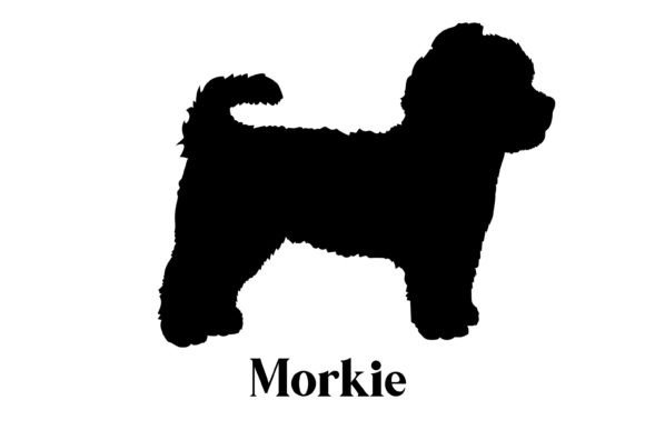 Morkie Dog Silhouette Breeds