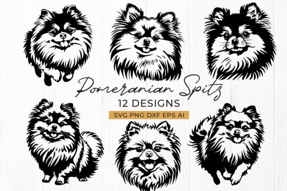 Pomeranian Spitz SVG Bundle for Embroidery