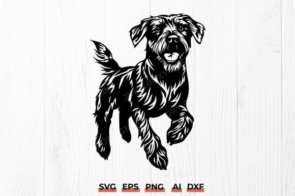 Running German Wirehaired Pointer Dog